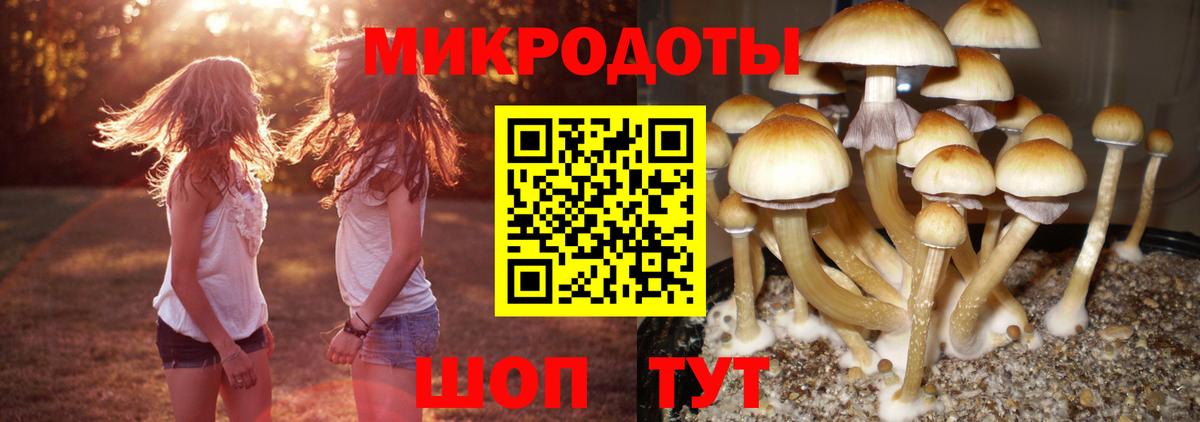 Изобильный  Галлюциногенные грибы Cubensis  Вход с VPN 